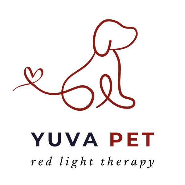 YUVA PET